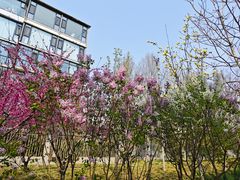 -南长河公园