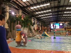 -南宫温泉水世界