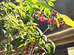 -Love Story爱情故事·养生SPA会所(新侨店)