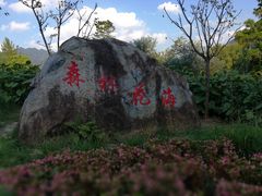 -广州市流溪河国家森林公园