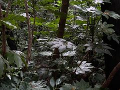 -云龙山