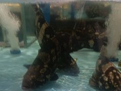 -阿伟海鲜楼·福建菜(延寿店)