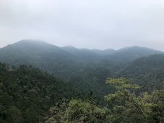 -四明山国家森林公园