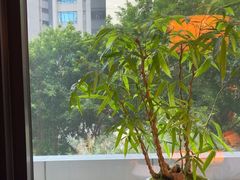 -炳胜私厨(中达旗舰店)