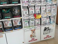 -宠福鑫动物医院·动物疾病诊疗中心(天通苑店)