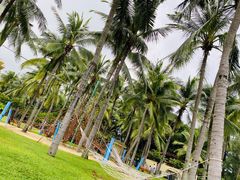 -三亚亚龙湾天域度假酒店