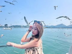 -海驴岛(荣成市)