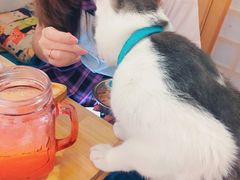 -小时光咖啡馆(开森度假森林店)