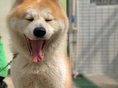 -YCHL Studios健身工作室(市二宫店)