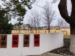 -嘉北郊野公园