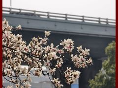 -南京晨光1865创意产业园