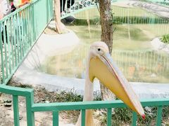 -水上乐园·欢乐世界