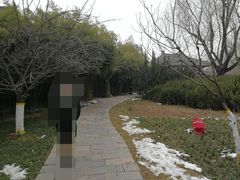 -西安青龙寺遗址景区