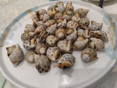 -台山美食一绝阿四台山黄鳝饭(阿四创作店)