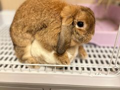 -雨林宠物医院 非犬猫异宠专科