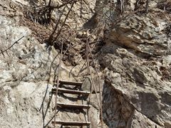 -大连天门山国家森林公园