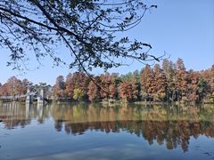 -东湖落雁景区