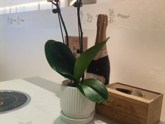 -一叶一世界•素食餐厅(新光天地店)
