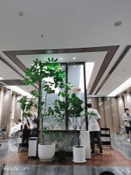 -扎嘎形象设计