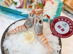 -海鲨湾海鲜会馆(百家湖1912店)