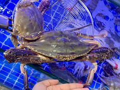 -来之顺海鲜菜馆·青岛菜·始于1993(栈桥店)