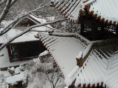 -碑林公园