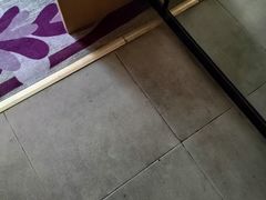 -麗枫酒店(广州汉溪长隆站野生动物园景区店)