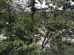 -虹口漂流