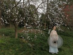 -秀丽东方