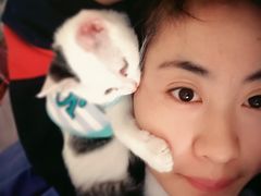 -宠爱国际动物医院·消化内科·心肾内科·ISFM猫友好(望京店)
