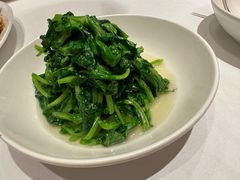 五粮液嫩豆苗-玫瑰厅上海菜(兴国路店)