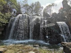 -上海鲜花港