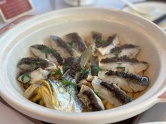 -人间采蜜(海信广场店)