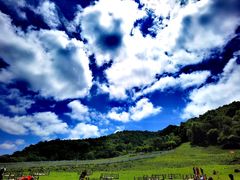 -大水川景区