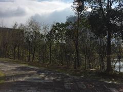 -艾溪湖湿地公园