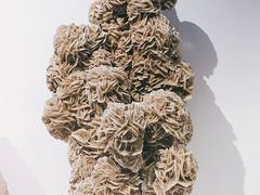 -重庆自然博物馆(新馆)