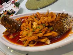 松鼠桂鱼-天福苑(崇宁路店)