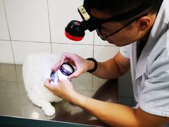 -北京赛佳动物医院