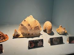 -常州海昌海洋探索馆