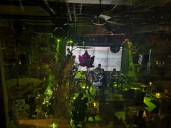 -胡桃里音乐酒馆(石家庄店)