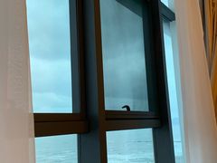 -Apple零售店(青岛万象城店)