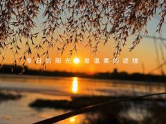 -绿堤公园