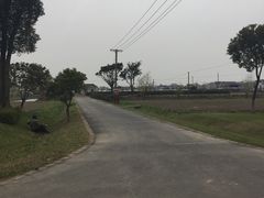 -上海多利农业发展有限公司