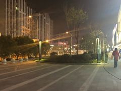 -恒生万鹂广场(唐镇店)