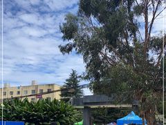 -西南林业大学(白龙校区)