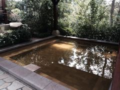 iphone_upload_pic-天目湖涵田度假村