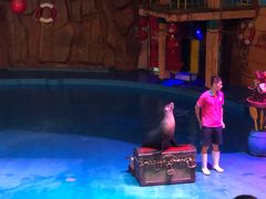 -烟台海昌鲸鲨海洋公园