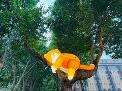 -西安电影制片厂