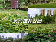 -沐仙湖湿地公园