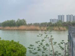 -贡湖湾湿地公园